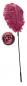 Preview: Feder pink