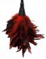 Preview: FFS Frisky Feather Duster