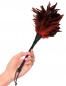 Preview: FFS Frisky Feather Duster
