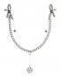 Preview: FFS Crystal Nipple Clamps