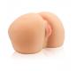 Preview: The Perfect Ass Torso Masturbator 1