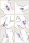 Preview: BeauMents Doppio Purple Preview: BeauMents Doppio Purple