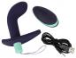 Preview: Remote Controlled Prostate Plu