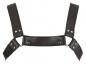 Preview: Leder Herren Brustharness
