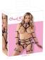 Preview: Harness