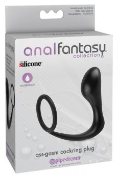 Penisring mit Analplug