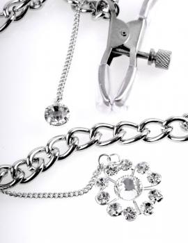 FFS Crystal Nipple Clamps