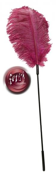 Feder pink