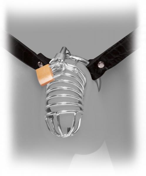 FFE Extreme Chastity Belt FFE Extreme Chastity Belt
