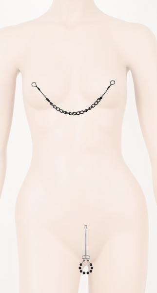 FFSLE Nipple & Clit Jewelry Bl