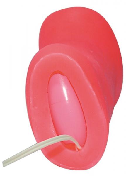 Masturbator Girl's Pussy