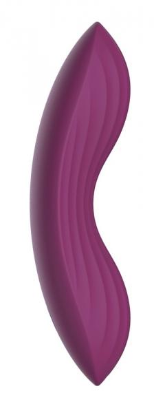 Auflegevibrator "Edeny" 1 Auflegevibrator "Edeny" 1