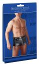 Lederimitat Herren Pants S